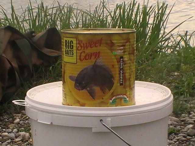 pe la balti - swit.jpg